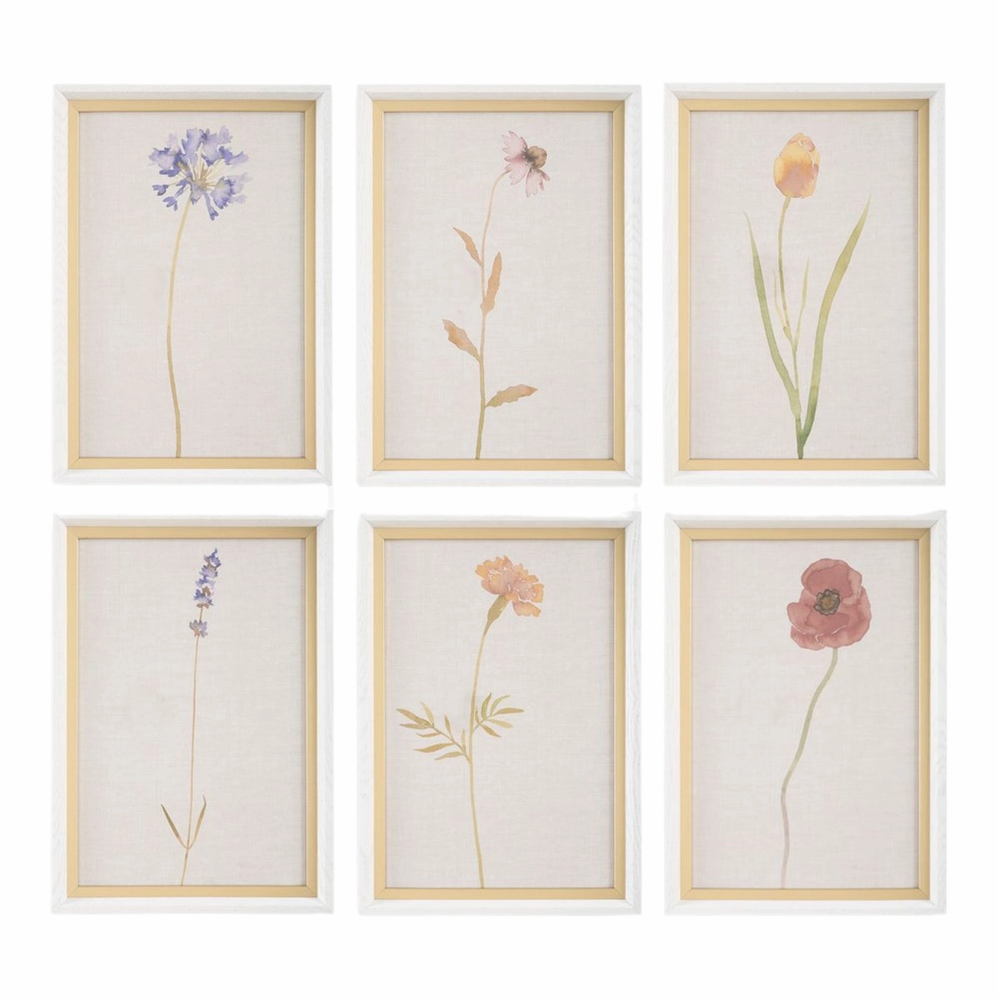 Set of Six Wild Flourish Framed Prints 