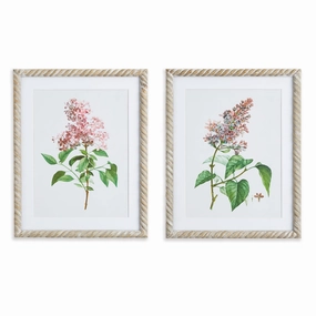 Set of Two Framed Lilac Cutting Prints 