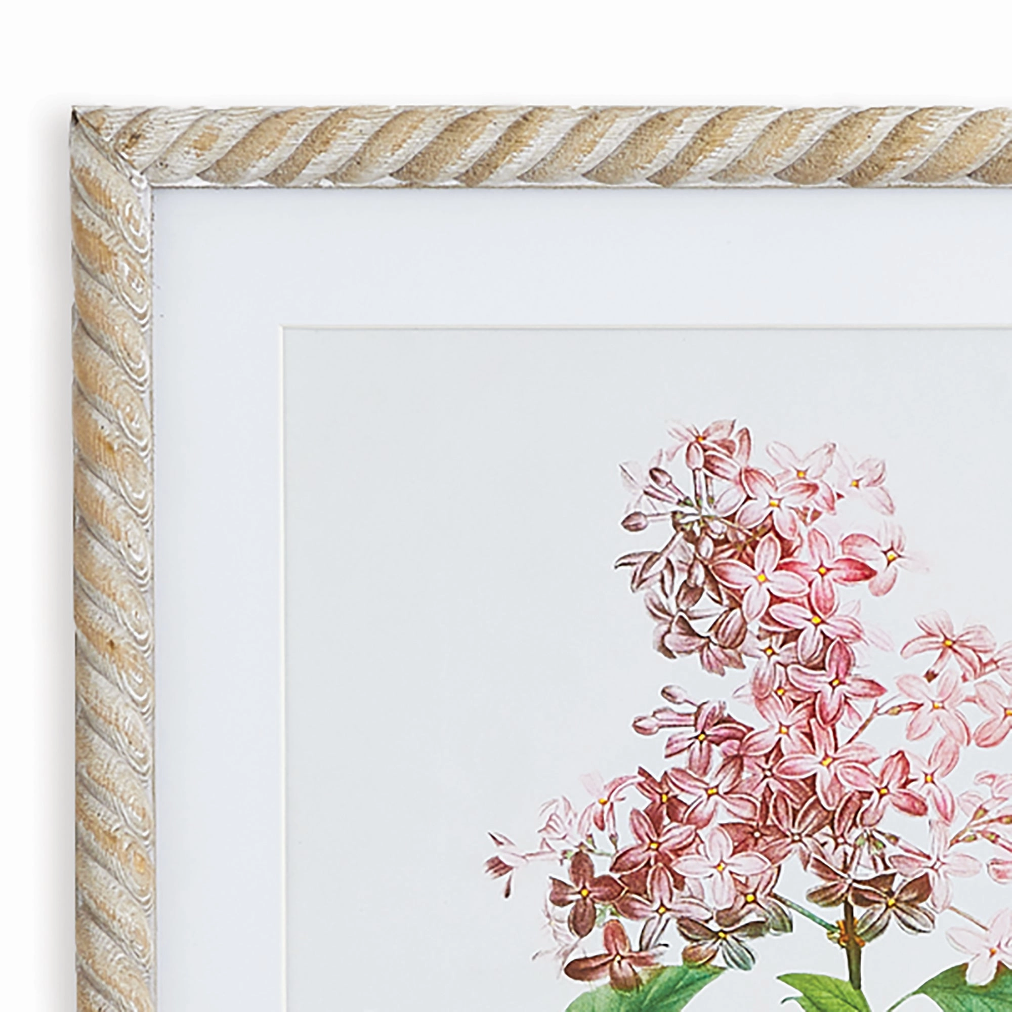 Set of Two Framed Lilac Cutting Prints