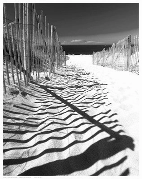 Shadowed Pathway 