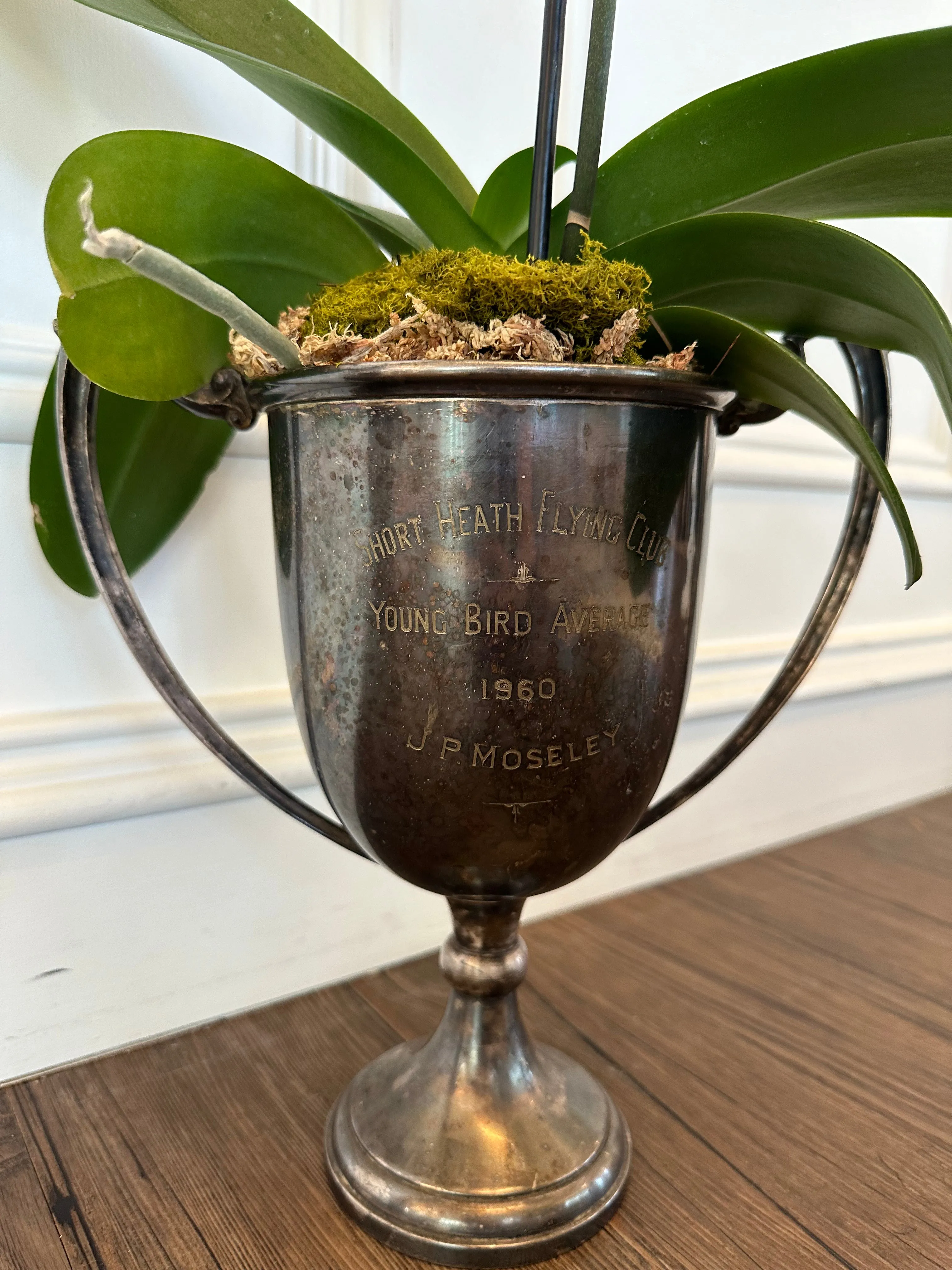 Short Heath Flying Club Trophy 