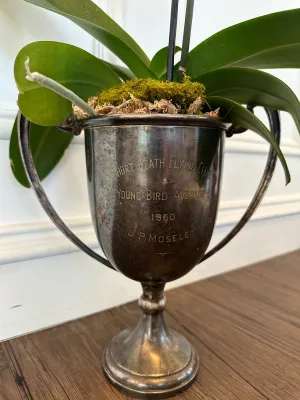 Short Heath Flying Club Trophy 