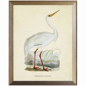 Siberian Crane Framed Wall Art 