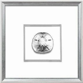Silver Sand Dollar Coastal Beach Wall Art in White & Silver Frame 