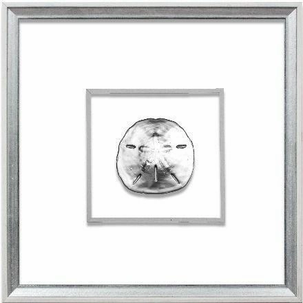 Silver Sand Dollar Coastal Beach Wall Art in White & Silver Frame 