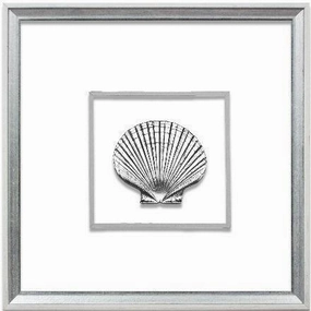 Silver Scallop Shell Coastal Beach Wall Art in White & Silver Frame 