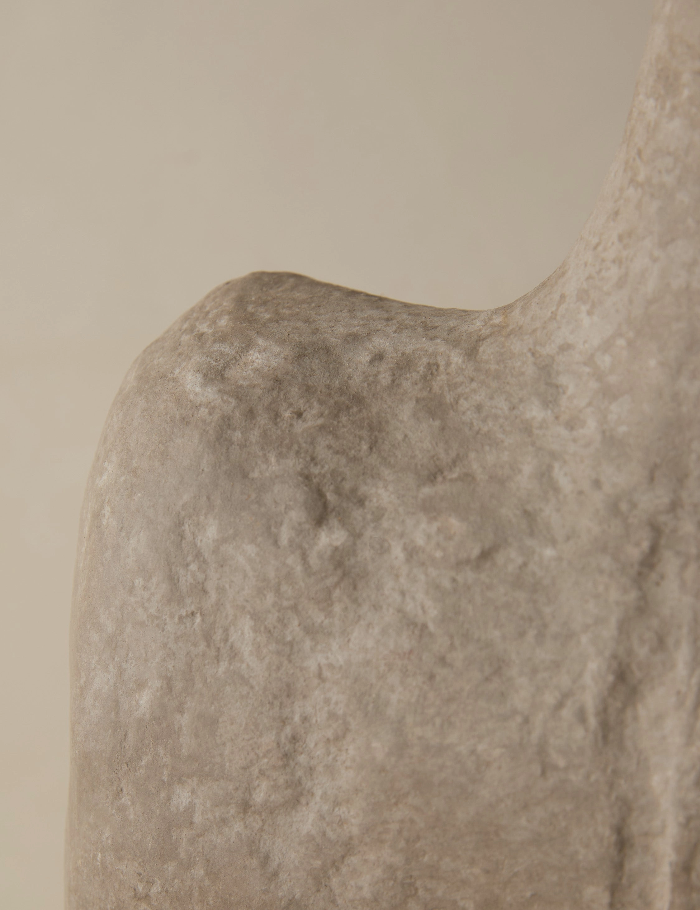 Sina Decorative Vase