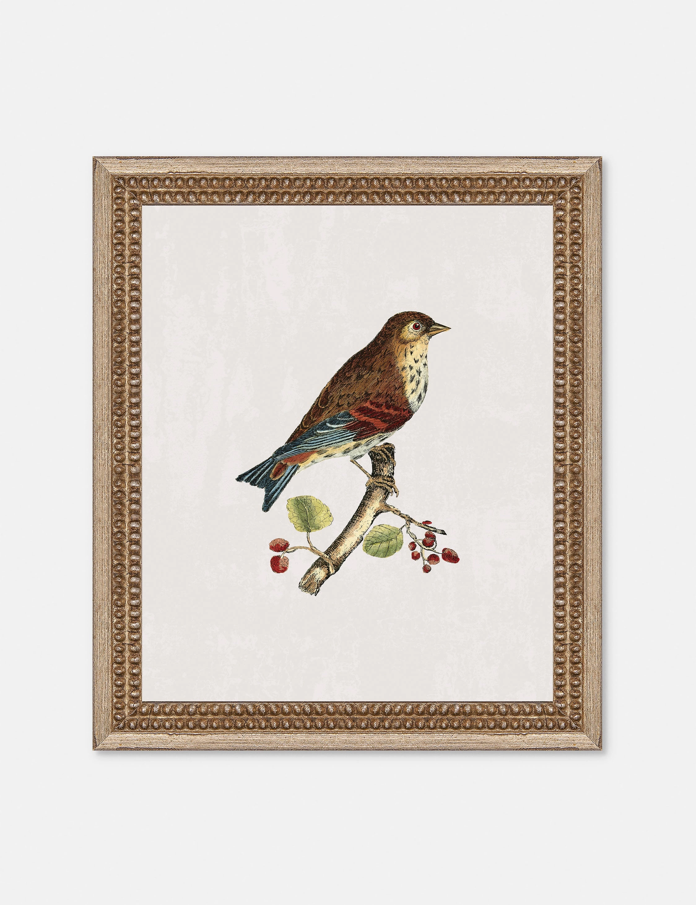Small Birds I Wall Art by Old World 
