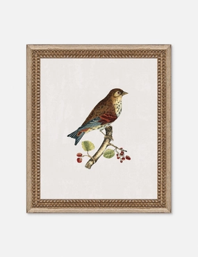 Small Birds I Wall Art by Old World 