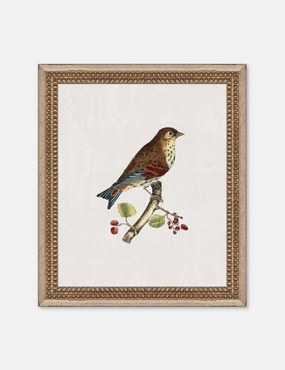 Small Birds I Wall Art by Old World 