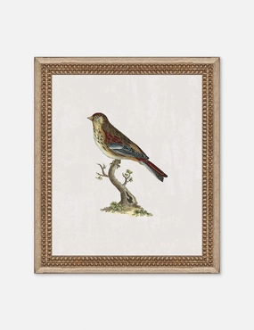 Small Birds II Wall Art by Old World 