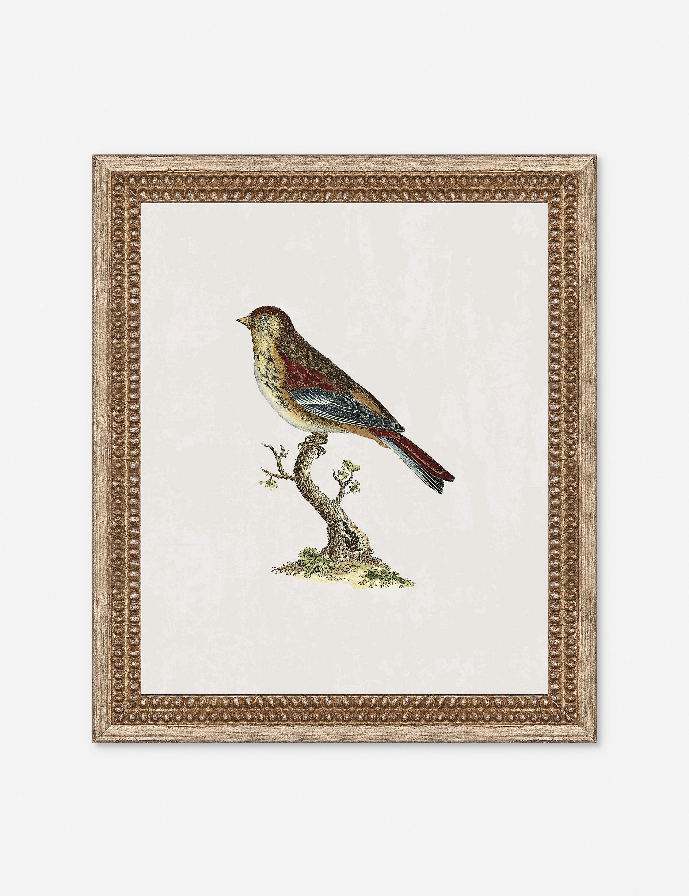 Small Birds II Wall Art by Old World 