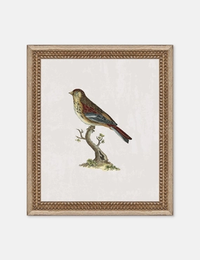 Small Birds II Wall Art by Old World 