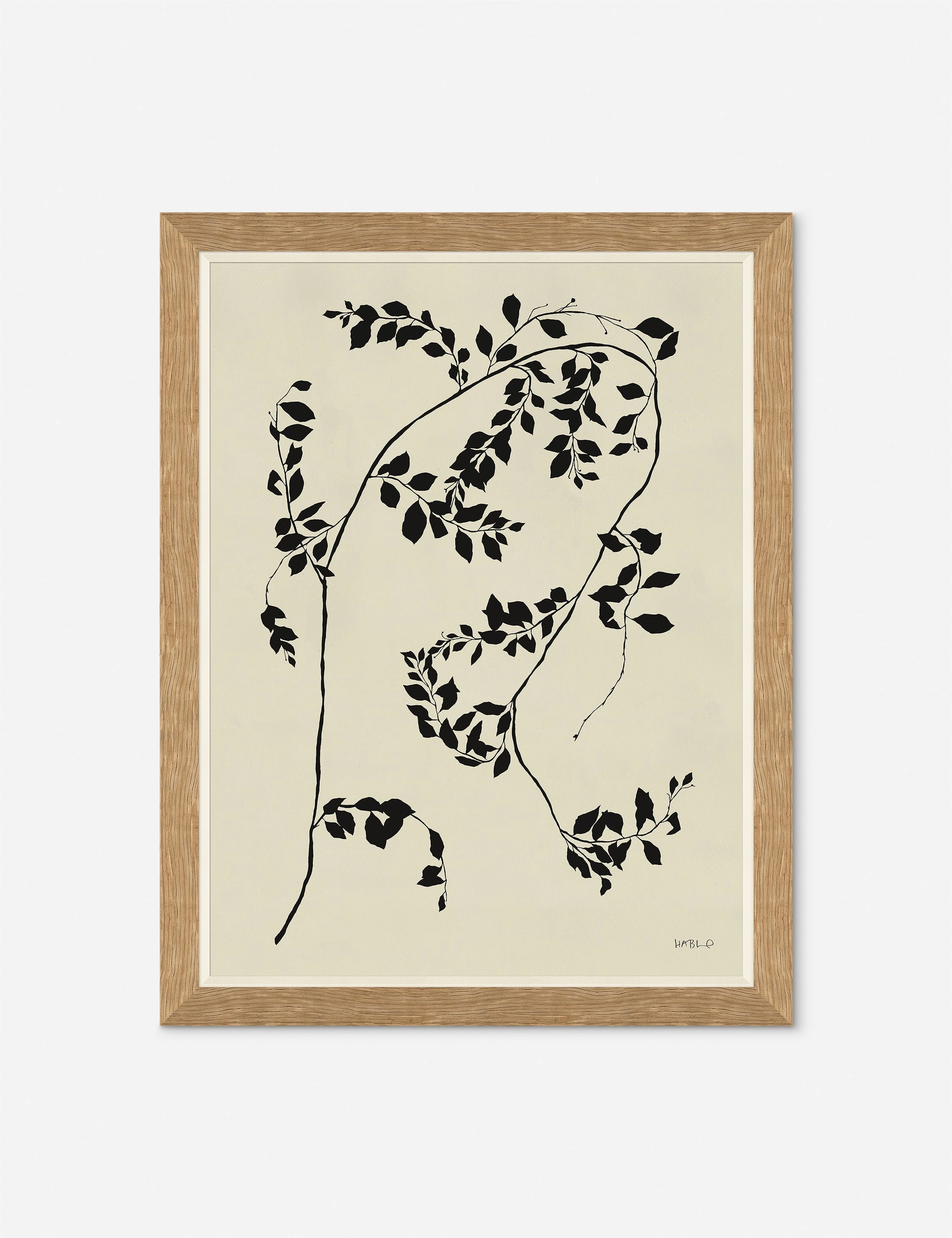 Smylax Wall Art by Susan Hable 