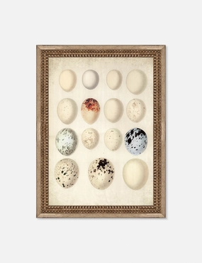 Speckled Egg II Wall Art by Helen Parker 
