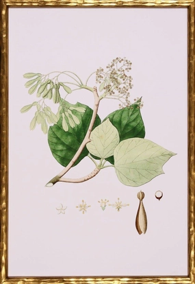 Spring Green Foliage IV Botanical Lithograph Wall Art in Gold Frame 
