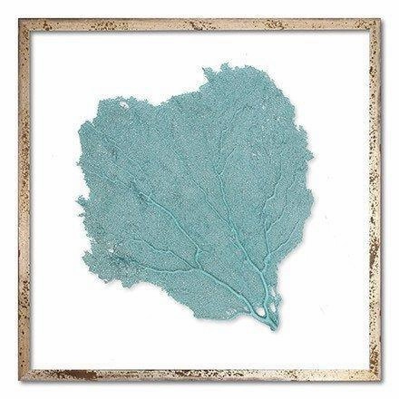 Square Coastal Sea Fan Nautical Beach Framed Wall Art - 25 x 25 - Available in 18 Colors 