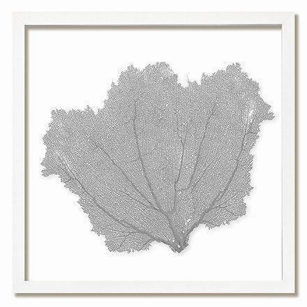 Square Coastal Sea Fan Nautical Beach Framed Wall Art - 25 x 25 - Available in 18 Colors
