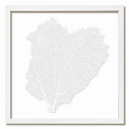 Square Coastal Sea Fan Nautical Beach Framed Wall Art - 25 x 25 - Available in 18 Colors