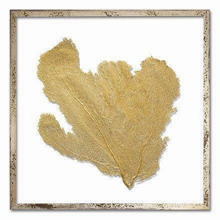Square Coastal Sea Fan Nautical Beach Framed Wall Art - 25 x 25 - Available in 18 Colors