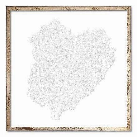 Square Coastal Sea Fan Nautical Beach Framed Wall Art - 25 x 25 - Available in 18 Colors