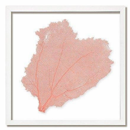 Square Coastal Sea Fan Nautical Beach Framed Wall Art - 25 x 25 - Available in 18 Colors