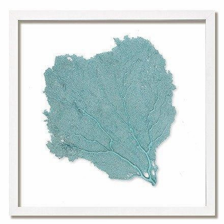 Square Coastal Sea Fan Nautical Beach Framed Wall Art - 25 x 25 - Available in 18 Colors