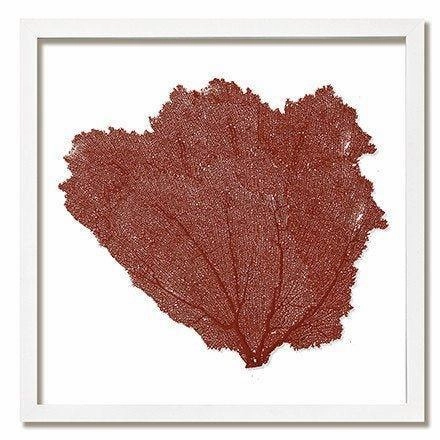 Square Coastal Sea Fan Nautical Beach Framed Wall Art - 25 x 25 - Available in 18 Colors
