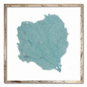 Square Coastal Sea Fan Nautical Beach Framed Wall Art - 25 x 25 - Available in 18 Colors 