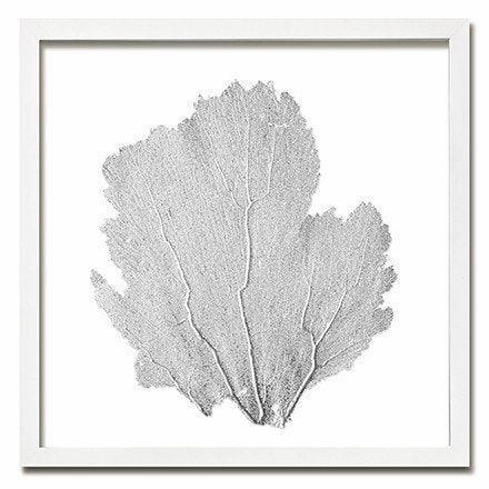 Square Coastal Sea Fan Nautical Beach Framed Wall Art - 30 x 30 - Available in 19 Colors