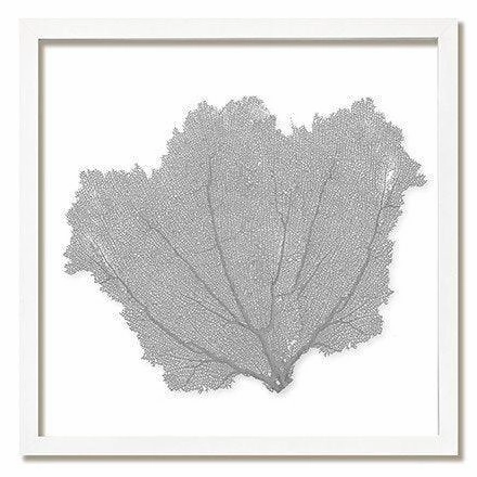 Square Coastal Sea Fan Nautical Beach Framed Wall Art - 30 x 30 - Available in 19 Colors