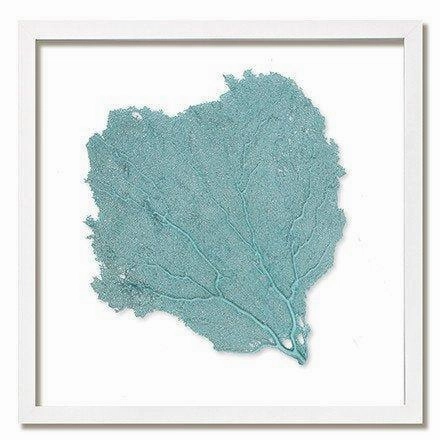 Square Coastal Sea Fan Nautical Beach Framed Wall Art - 30 x 30 - Available in 19 Colors