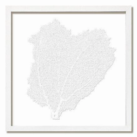 Square Coastal Sea Fan Nautical Beach Framed Wall Art - 30 x 30 - Available in 19 Colors