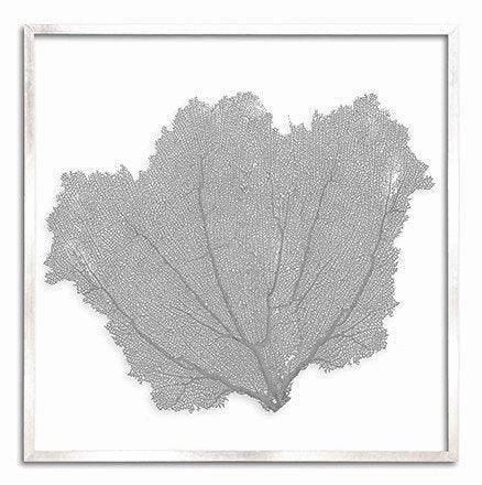 Square Coastal Sea Fan Nautical Beach Framed Wall Art - 37 x 37 - Available in 19 Colors