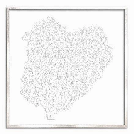 Square Coastal Sea Fan Nautical Beach Framed Wall Art - 37 x 37 - Available in 19 Colors