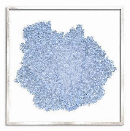 Square Coastal Sea Fan Nautical Beach Framed Wall Art - 37 x 37 - Available in 19 Colors
