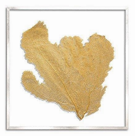 Square Coastal Sea Fan Nautical Beach Framed Wall Art - 37 x 37 - Available in 19 Colors