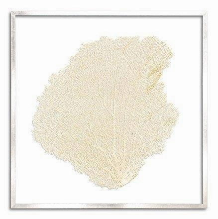 Square Coastal Sea Fan Nautical Beach Framed Wall Art - 37 x 37 - Available in 19 Colors