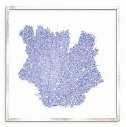 Square Coastal Sea Fan Nautical Beach Framed Wall Art - 37 x 37 - Available in 19 Colors