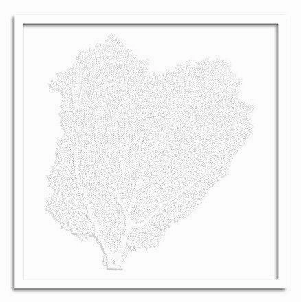 Square Coastal Sea Fan Nautical Beach Framed Wall Art - 37 x 37 - Available in 19 Colors