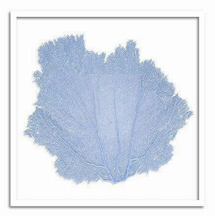 Square Coastal Sea Fan Nautical Beach Framed Wall Art - 37 x 37 - Available in 19 Colors