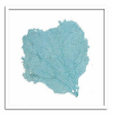 Square Coastal Sea Fan Nautical Beach Framed Wall Art - 37 x 37 - Available in 19 Colors
