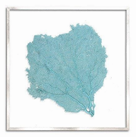 Square Coastal Sea Fan Nautical Beach Framed Wall Art - 37 x 37 - Available in 19 Colors