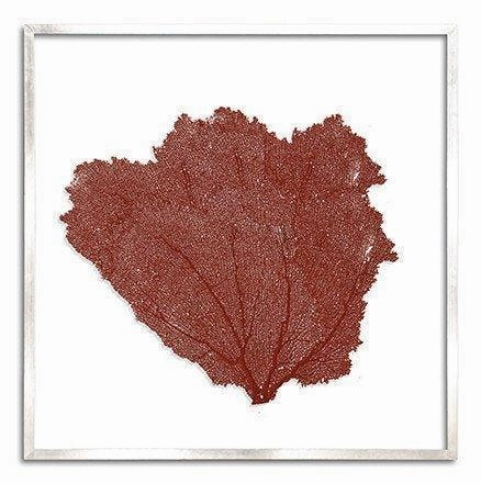 Square Coastal Sea Fan Nautical Beach Framed Wall Art - 37 x 37 - Available in 19 Colors