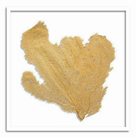 Square Coastal Sea Fan Nautical Beach Framed Wall Art - 37 x 37 - Available in 19 Colors