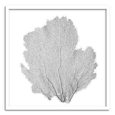 Square Coastal Sea Fan Nautical Beach Framed Wall Art - 37 x 37 - Available in 19 Colors