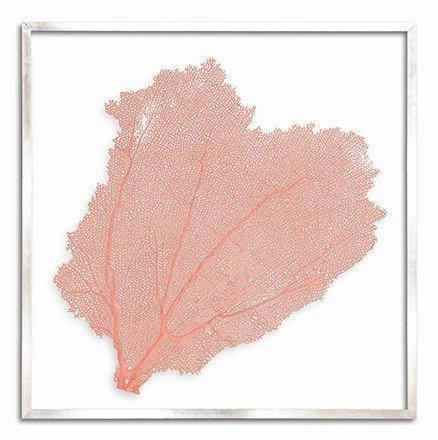 Square Coastal Sea Fan Nautical Beach Framed Wall Art - 37 x 37 - Available in 19 Colors