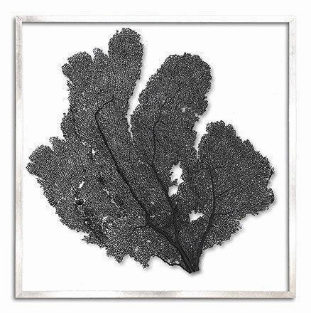 Square Coastal Sea Fan Nautical Beach Framed Wall Art - 37 x 37 - Available in 19 Colors