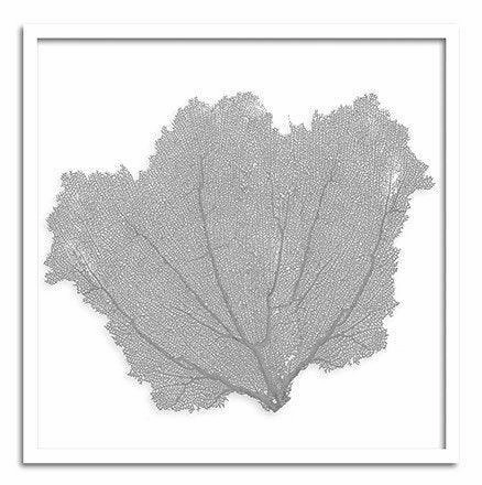 Square Coastal Sea Fan Nautical Beach Framed Wall Art - 37 x 37 - Available in 19 Colors