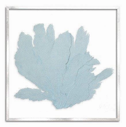 Square Coastal Sea Fan Nautical Beach Framed Wall Art - 37 x 37 - Available in 19 Colors 